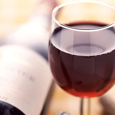 Paris Nord 2 Cdg Aeroport Hotel Roissy-en-France